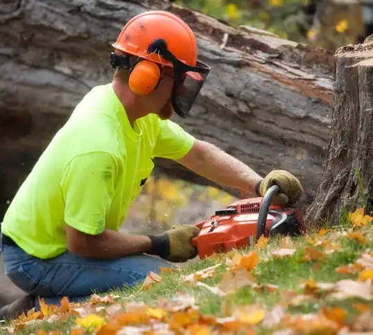 tree services Weldon